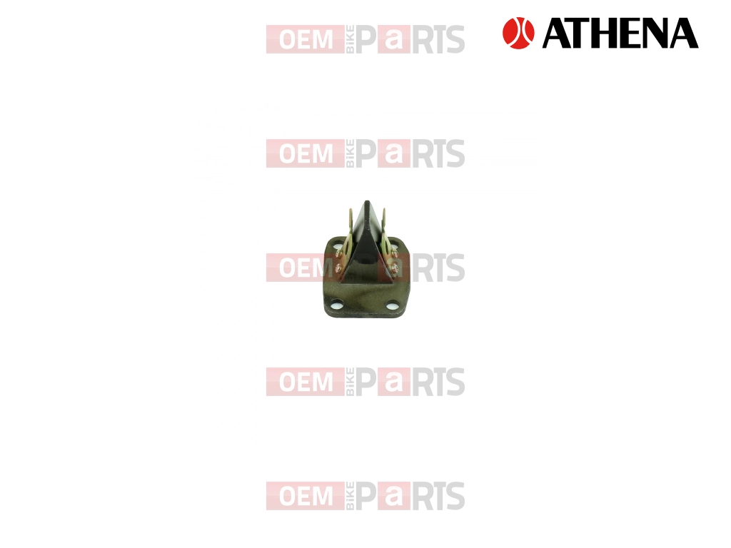 Intake Reed Valves