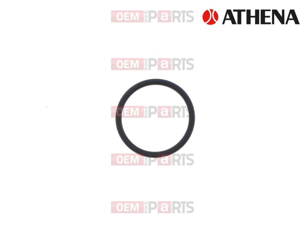 O-Ring (20,5x2)