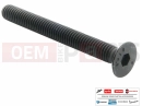 PIAGGIO Beverly 125 1B006376 - Vis