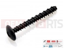 PIAGGIO Fly 150 20 pc - 478533 - Vis