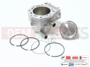 PIAGGIO X9 500 Evolution ABS 832811 - Cylinder kit (500 ccm)