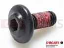 DUCATI 2014 HYPERSTRADA 77210893B - Vis