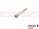 DUCATI 2014 HYPERSTRADA 2 pc - 77156738B - Vis