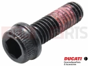 DUCATI 2013 Diavel 2 pc - 77110401B - Vis