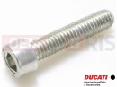 DUCATI 2013 HYPERSTRADA 77150708B - Vis