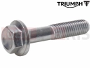 Triumph 2000 LEGEND TT T3200601 - Vis