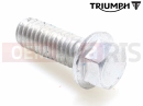Triumph 2014 THUNDERBIRD COMMANDER T3205064 - Vis