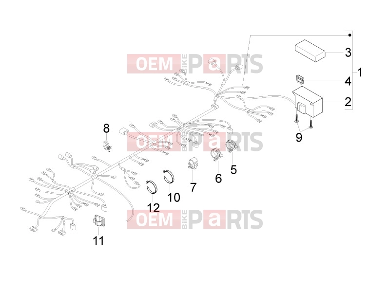 gilera 2010 Runner 50 SP Electrical system » Main cable harness