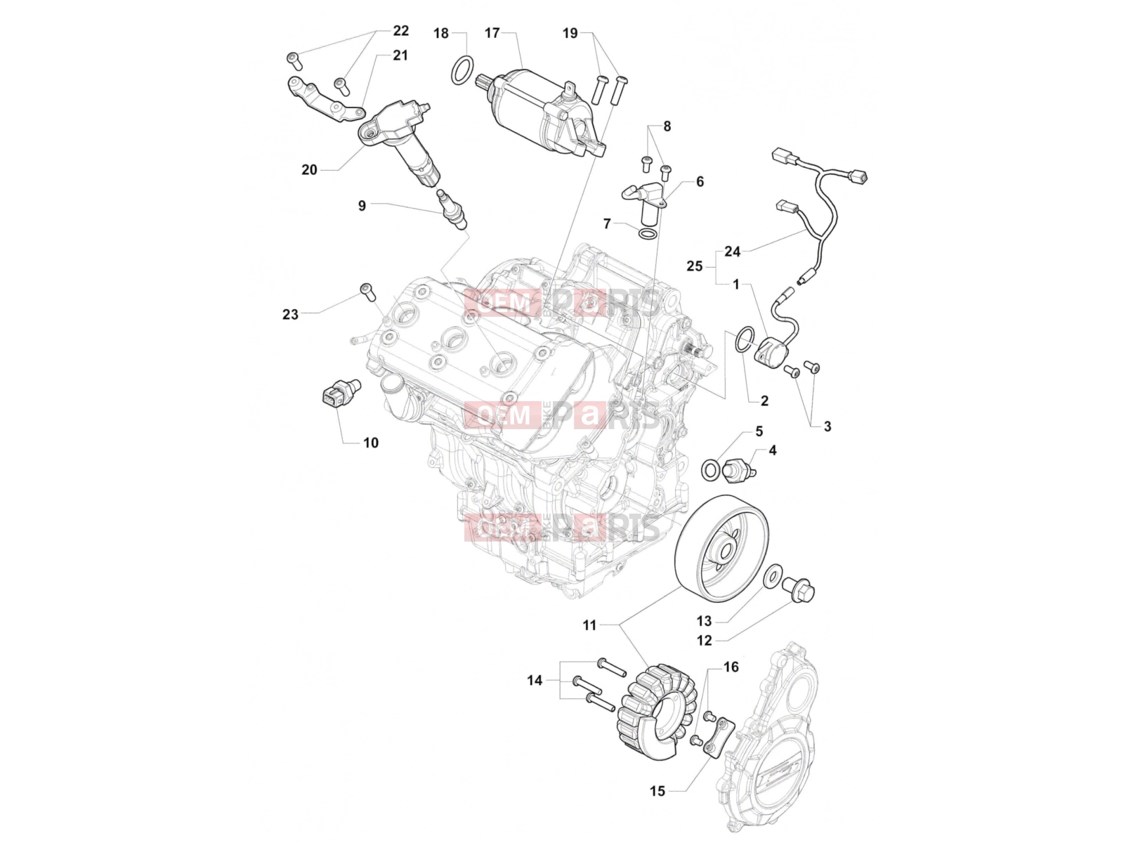 MV Agusta Brutale 800 RR Engine Electric System