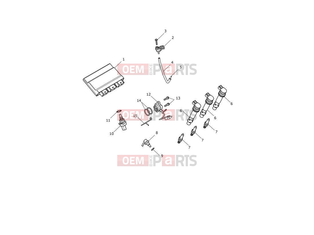 Triumph 2021 TRIDENT 660 Engine Management