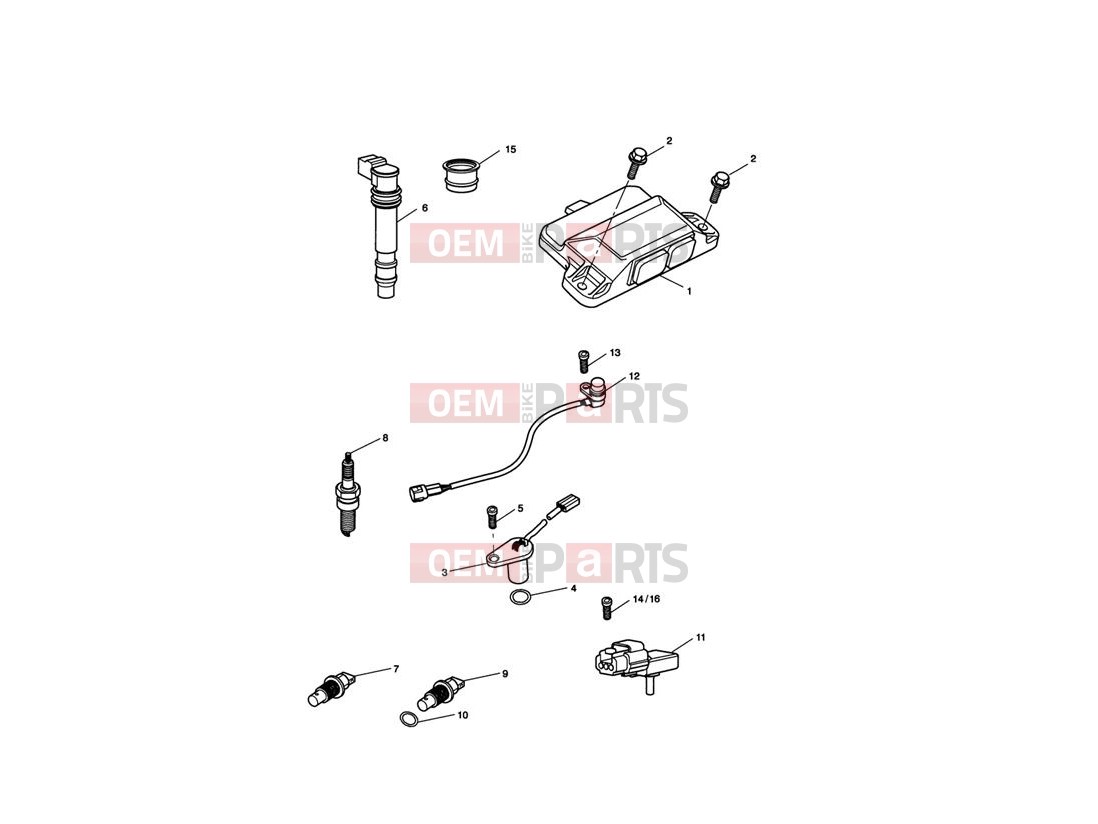 Triumph 2018 SPRINT GT Engine Management System