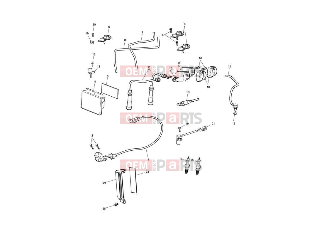 Triumph 2008 SPEEDMASTER EFI Engine Management System