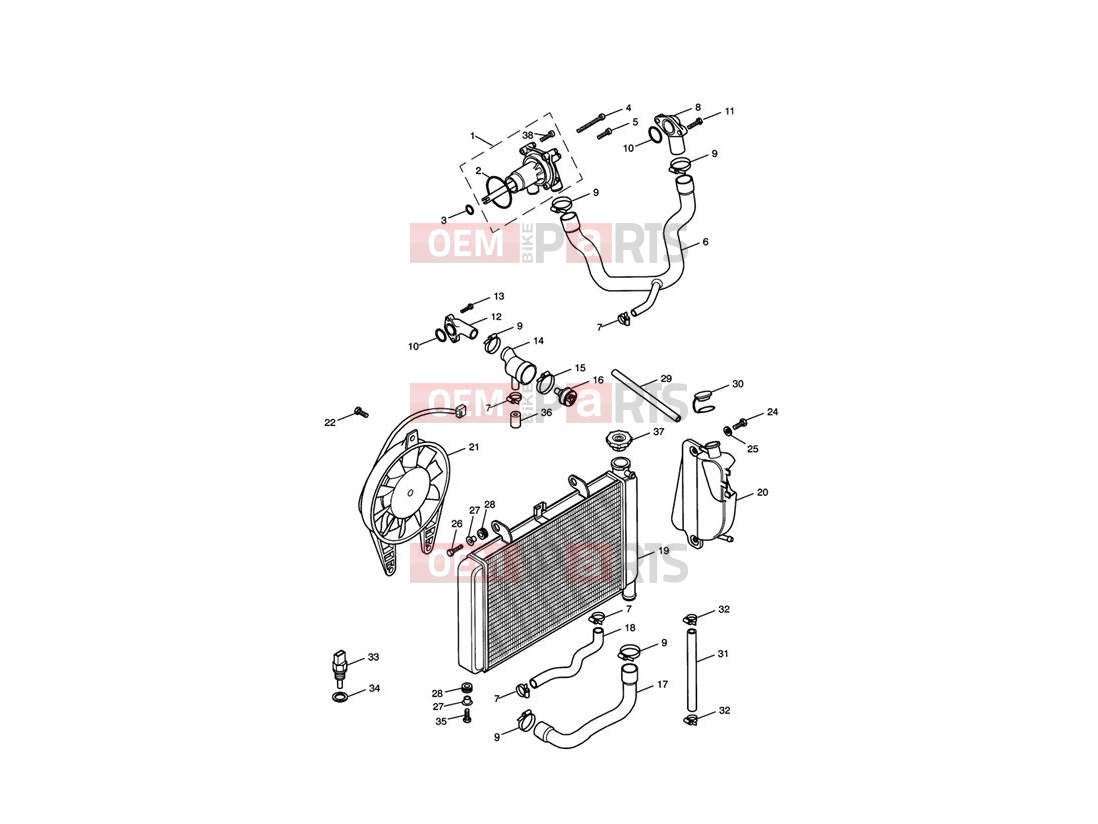 Triumph 2002 TT600 Cooling System