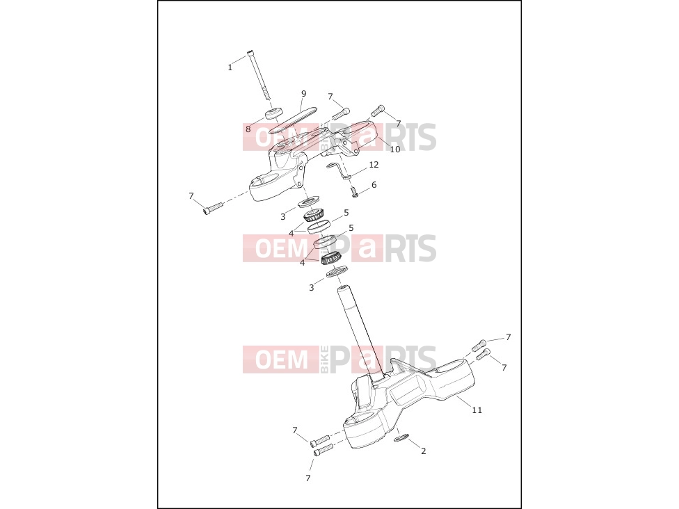 Harley-Davidson 2019 SOFTAIL SOFTAIL FXDR 114  - FXDRS FORK BRACKETS, FRONT