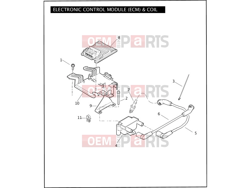 Harley-Davidson 2010 TOURING ELECTRA GLIDE CLASSIC  - FLHTC ELECTRONIC CONTROL MODULE (ECM) & COIL