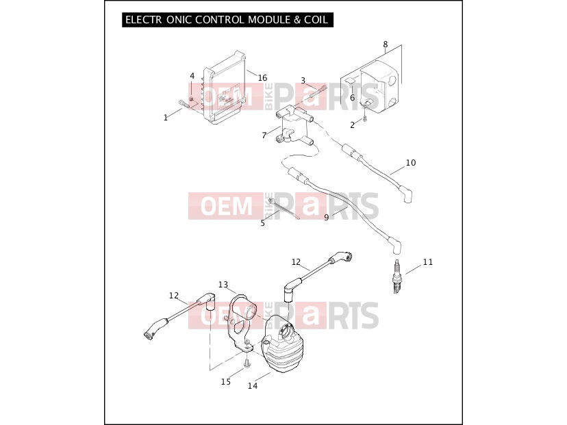 Harley-Davidson 2008 SOFTAIL ROCKER C  - FXCWC ELECTRONIC CONTROL MODULE & COIL