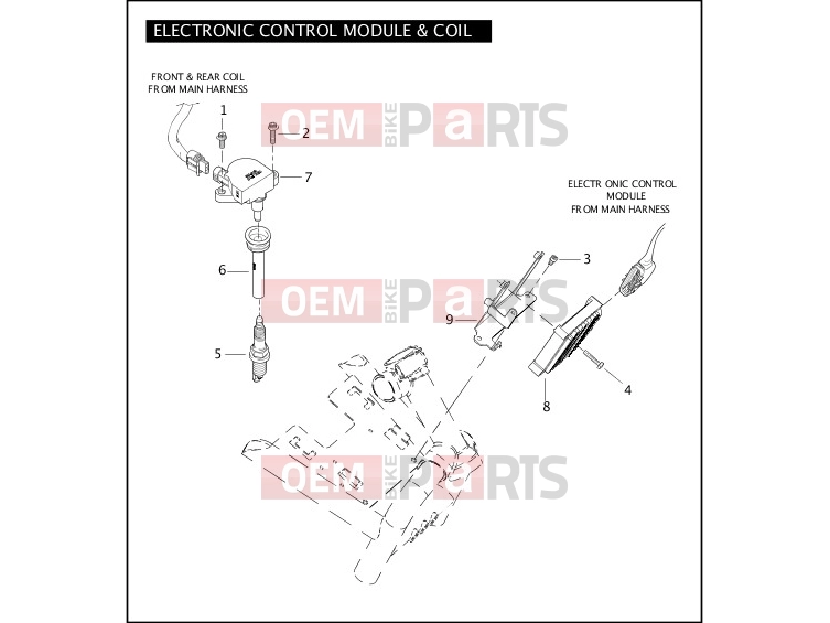 Harley-Davidson 2004 VRSC VRSCA V-ROD  - VRSCA ELECTRONIC CONTROL MODULE & COIL