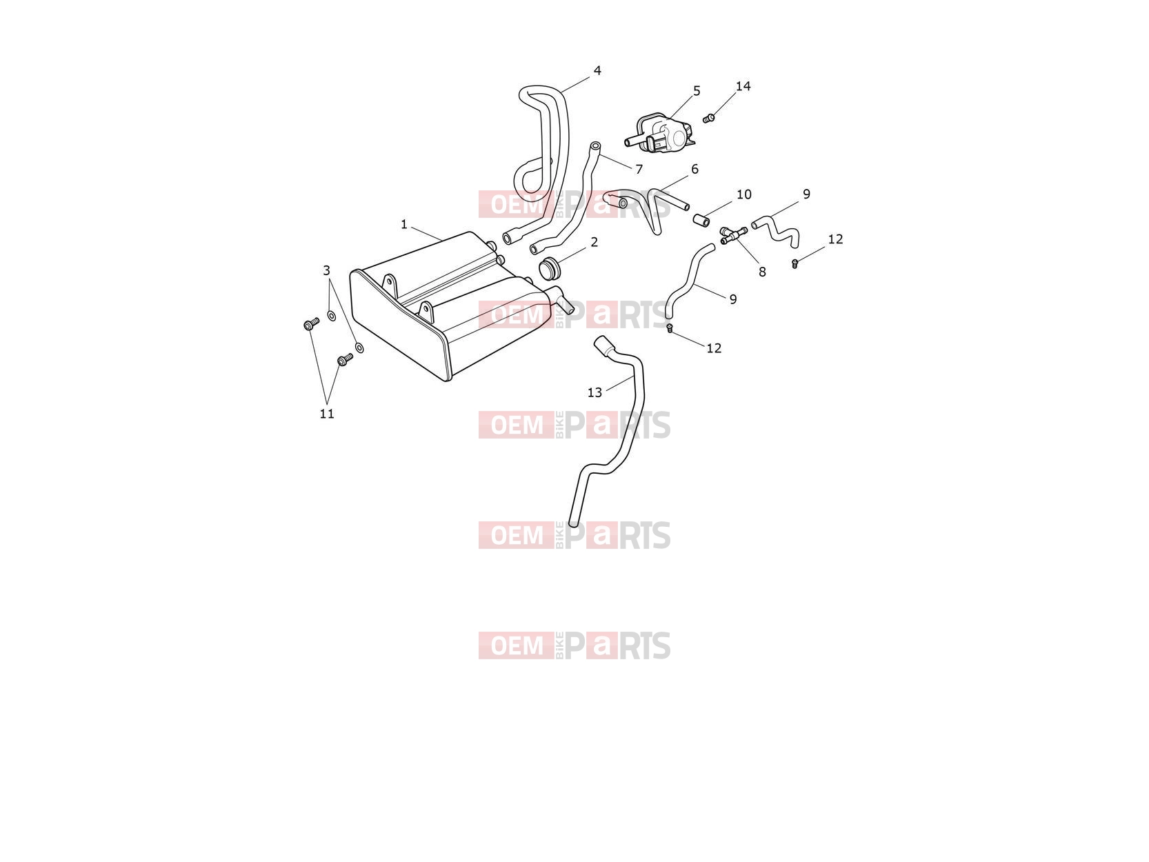 Triumph 2023 Thruxton RS Evap System