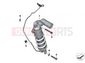Spring strut, rear - BMW Motorrad HP4 (0D01, 0D11) 2011