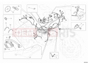 DUCATI Monster 659 ABS WIRING HARNESS » WIRING HARNESS