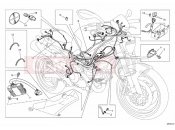 DUCATI Monster 795 WIRING HARNESS » WIRING HARNESS