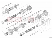 DUCATI Diavel BRA GEAR BOX » UNCLASSIFIED