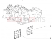 Engine, assembly - Piaggio X8 250 ie 2007