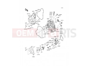 KAWASAKI 2009 Engine Cover(s)