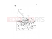 KAWASAKI 2012 Throttle