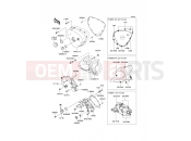 KAWASAKI 2012 Left Engine Cover(s)