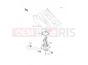 KAWASAKI 2012 Fuel Pump