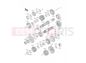 Transmission - Kawasaki ER-5 (ER500-B4) 2000