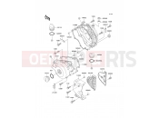 Engine Cover(s) - Kawasaki KLE250 (KLE250-A5) 2000