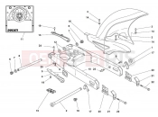 DUCATI Monster 1000 S SWINGARM AND CHAIN