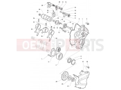 MV Agusta Dragster 800 RR Gear Selector Assembly
