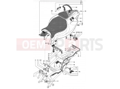 MV Agusta 2002 F4 750 SENNA Rear Fairing (double seat)