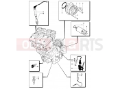 MV Agusta 2003 F4 750 SPR Engine Electric System