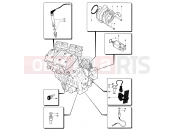 Engine Electric System - MV Agusta 2004-2006 F4 1000S 1+1