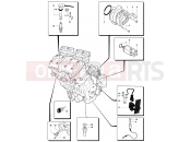 Engine Electric System - MV Agusta 2007-2008 F4 312R 1000