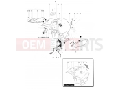 MV Agusta 2012 F4 R Fueltank Assembly