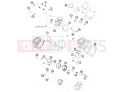 CYLINDER, CYLINDER HEAD - KTM 65 SX (6001I6) [EU] 2009
