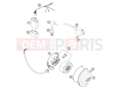 IGNITION SYSTEM - KTM 85 SX (6001D9) [EU] 2004