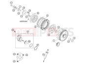 CLUTCH - KTM 65 SX (6001D6) [EU] 2004
