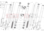 DUCATI Monster 821 Stripe FRONT FORK [MOD:M821 STR;XST:AUS,EUR,FRA,JAP]