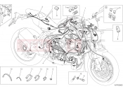 DUCATI Monster 1200 R WIRING HARNESS [MOD:M 1200R]