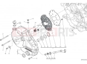 DUCATI Monster 821 Stripe CLUTCH COVER [MOD:M821 STR]