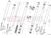DUCATI Monster 797 FRONT FORK [MOD:M 797+]