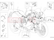 DUCATI 2019 SuperSport WIRING HARNESS [MOD:SS 939]