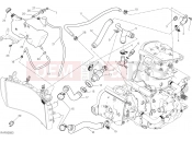 DUCATI 2020 Monster 1200 S COOLING SYSTEM [MOD:M 1200S]