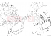 DUCATI Multistrada 1260 OIL COOLER [MOD:MS1260]